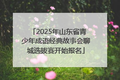 2025年山东省青少年成语经典故事会聊城选拔赛开始报名