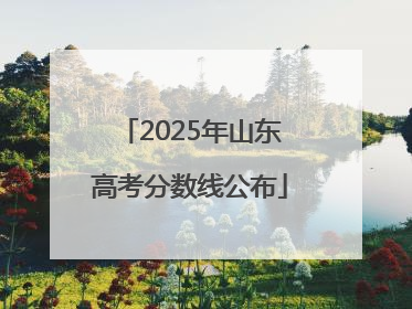 2025年山东高考分数线公布