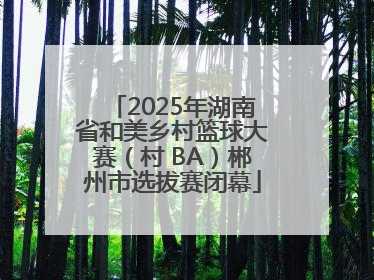 2025年湖南省和美乡村篮球大赛（村 BA）郴州市选拔赛闭幕
