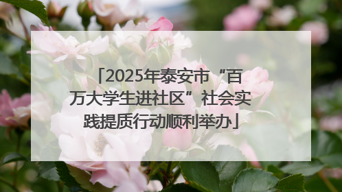 2025年泰安市“百万大学生进社区”社会实践提质行动顺利举办