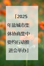 2025年盐城市集体协商集中要约行动推进会举办