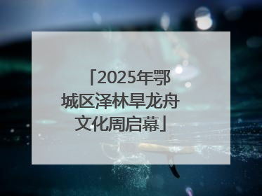 2025年鄂城区泽林旱龙舟文化周启幕