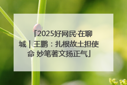 2025好网民·在聊城｜王鹏：扎根故土担使命 妙笔著文扬正气