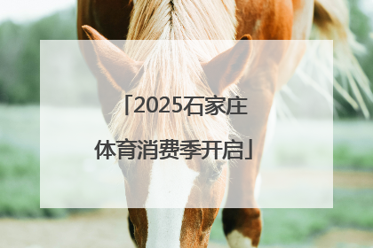 2025石家庄体育消费季开启