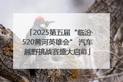 2025第五届“临汾·520黄河英雄会” 汽车越野挑战赛盛大启幕
