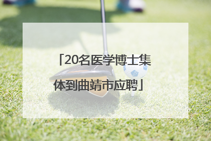 20名医学博士集体到曲靖市应聘