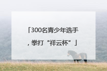 300名青少年选手，拳打“祥云杯”