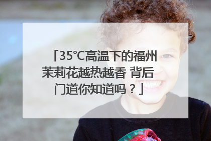 35℃高温下的福州茉莉花越热越香 背后门道你知道吗？