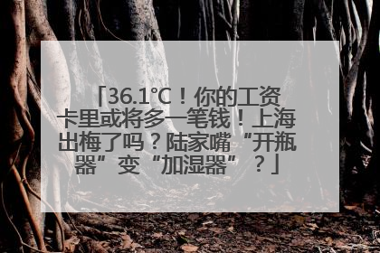 36.1℃！你的工资卡里或将多一笔钱！上海出梅了吗？陆家嘴“开瓶器”变“加湿器”？