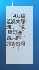 4万亩荒漠变绿洲，“戈壁奇迹”背后的“潍坊密码”