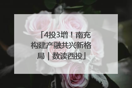 4投3增！南充构建产融共兴新格局｜数读西投