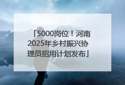 5000岗位！河南2025年乡村振兴协理员招用计划发布