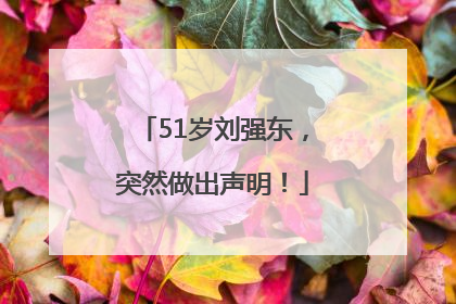 51岁刘强东，突然做出声明！