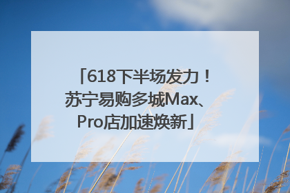 618下半场发力！苏宁易购多城Max、Pro店加速焕新