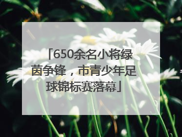 650余名小将绿茵争锋，市青少年足球锦标赛落幕