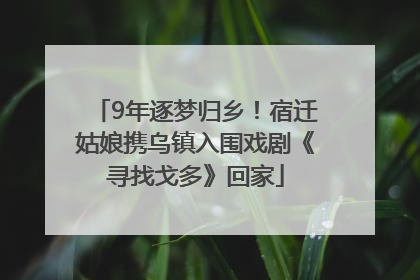 9年逐梦归乡！宿迁姑娘携乌镇入围戏剧《寻找戈多》回家