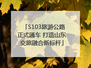 S103旅游公路正式通车 打造山东交旅融合新标杆